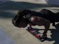 Tabla de Flexiones IRON-PUSH®